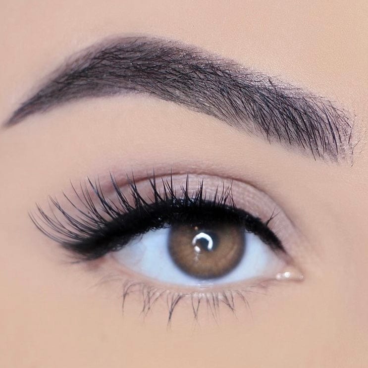 Captivating Charm: The Allure of Cat Eye Lashes插图3